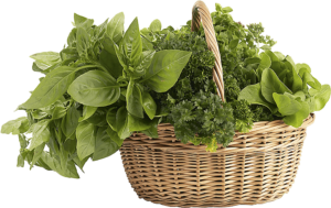 herbs