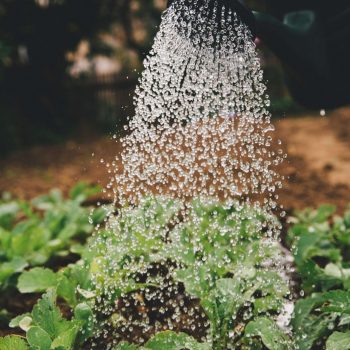 water management
